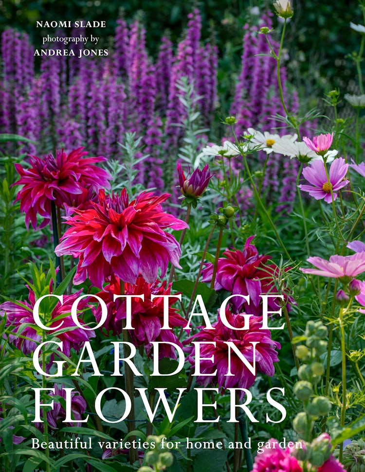 Cover image for Cottage Garden Flowers: Beautiful Varieties for Home and Garden, isbn: 9780008762377