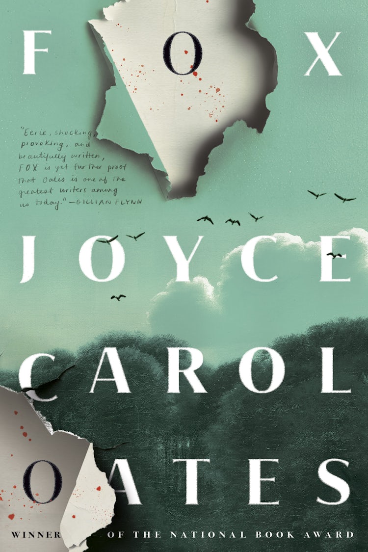 Cover image for Fox, isbn: 9780008765583