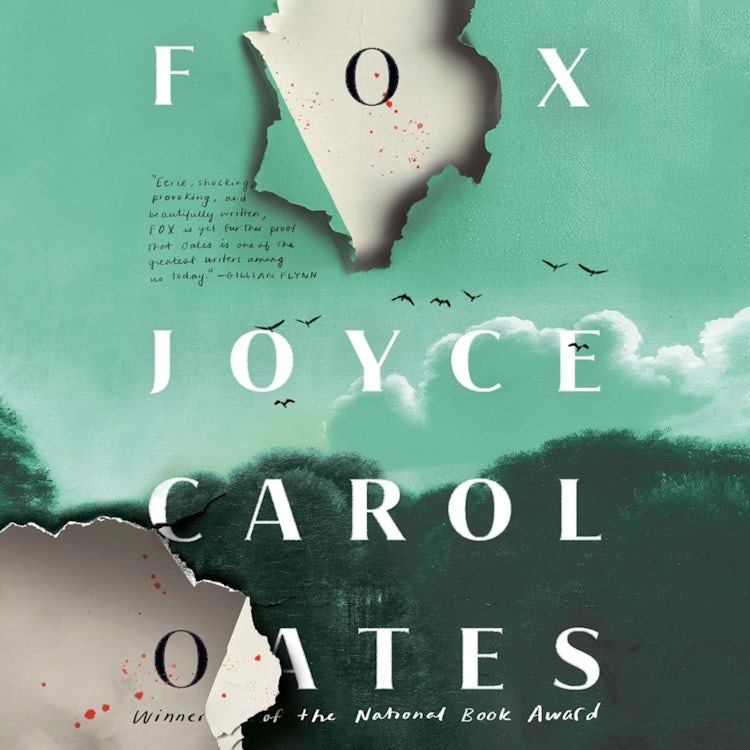 Cover image for Fox, isbn: 9780008765620