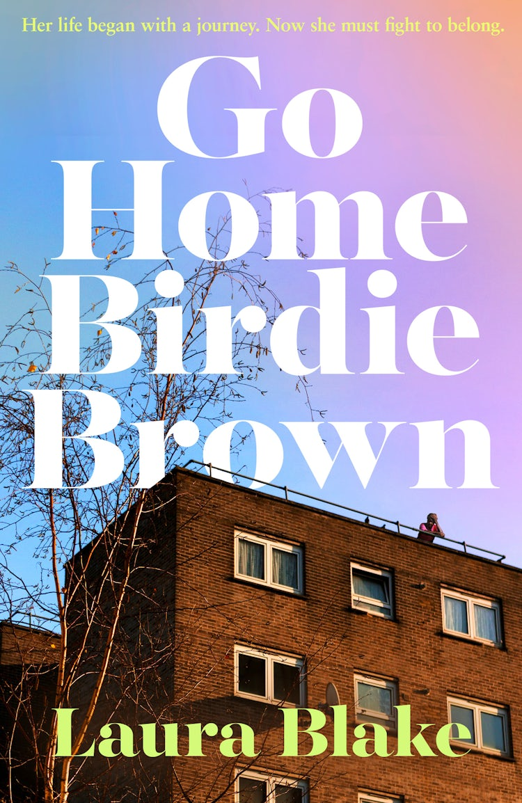 Cover image for Go Home Birdie Brown, isbn: 9780008775872