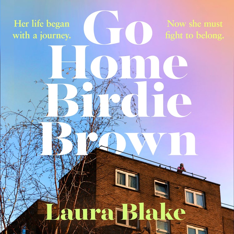 Cover image for Go Home Birdie Brown: A powerful gripping and compelling debut for 2026, isbn: 9780008775889