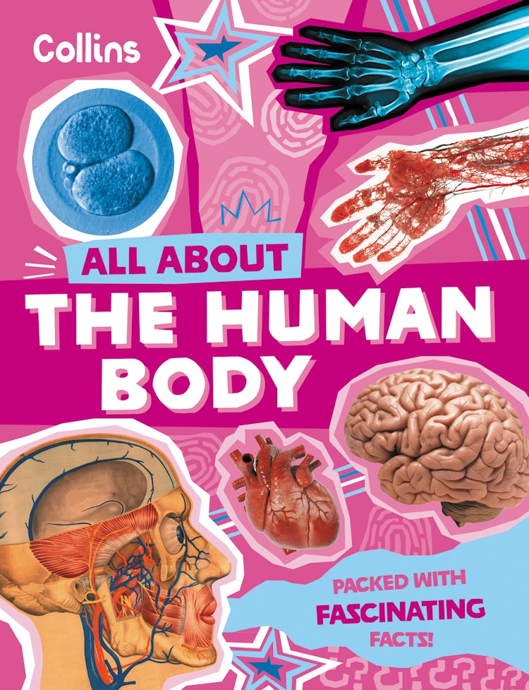 Cover image for All About the Human Body, isbn: 9780008776190