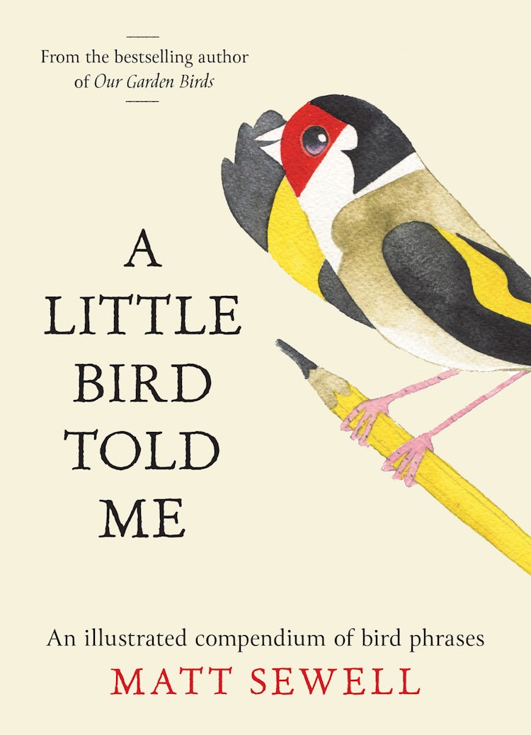 Cover image for A Little Bird Told Me: An illustrated compendium of bird phrases, isbn: 9780008781606