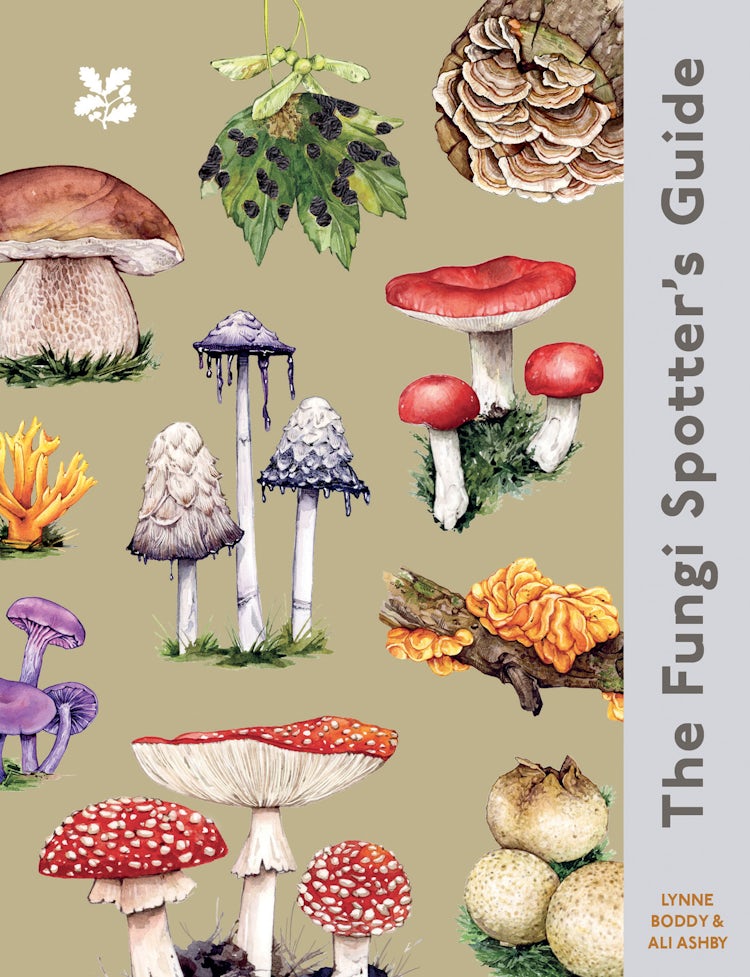 Cover image for The Fungi Spotter's Guide, isbn: 9780008783877