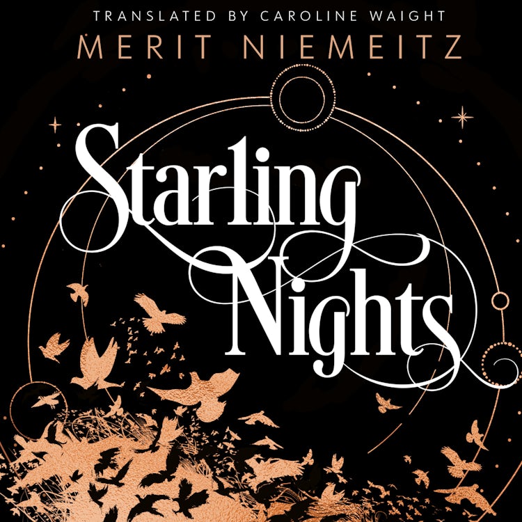 Cover image for Starling Nights: A brand-new gripping romance for fans of dark academia in 2026!, isbn: 9780008787387