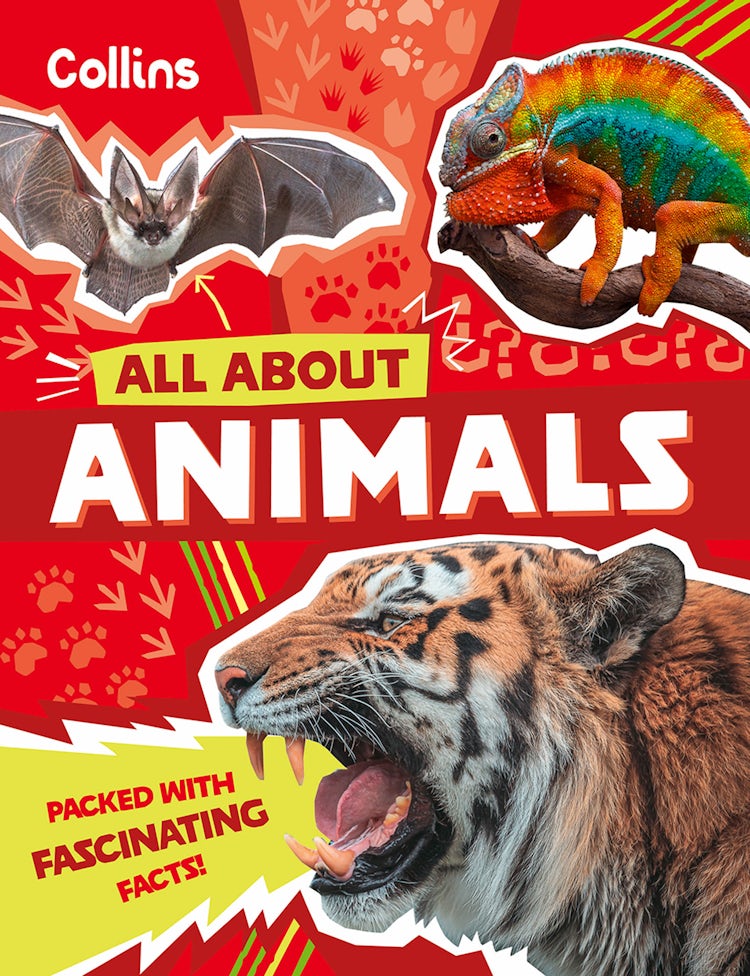Cover image for Animals: Discover fascinating facts about wildlife (All About), isbn: 9780008792121