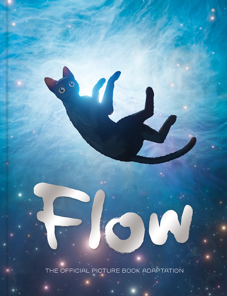 Cover image for Flow Picture Book (Flow the Movie), isbn: 9780008792503