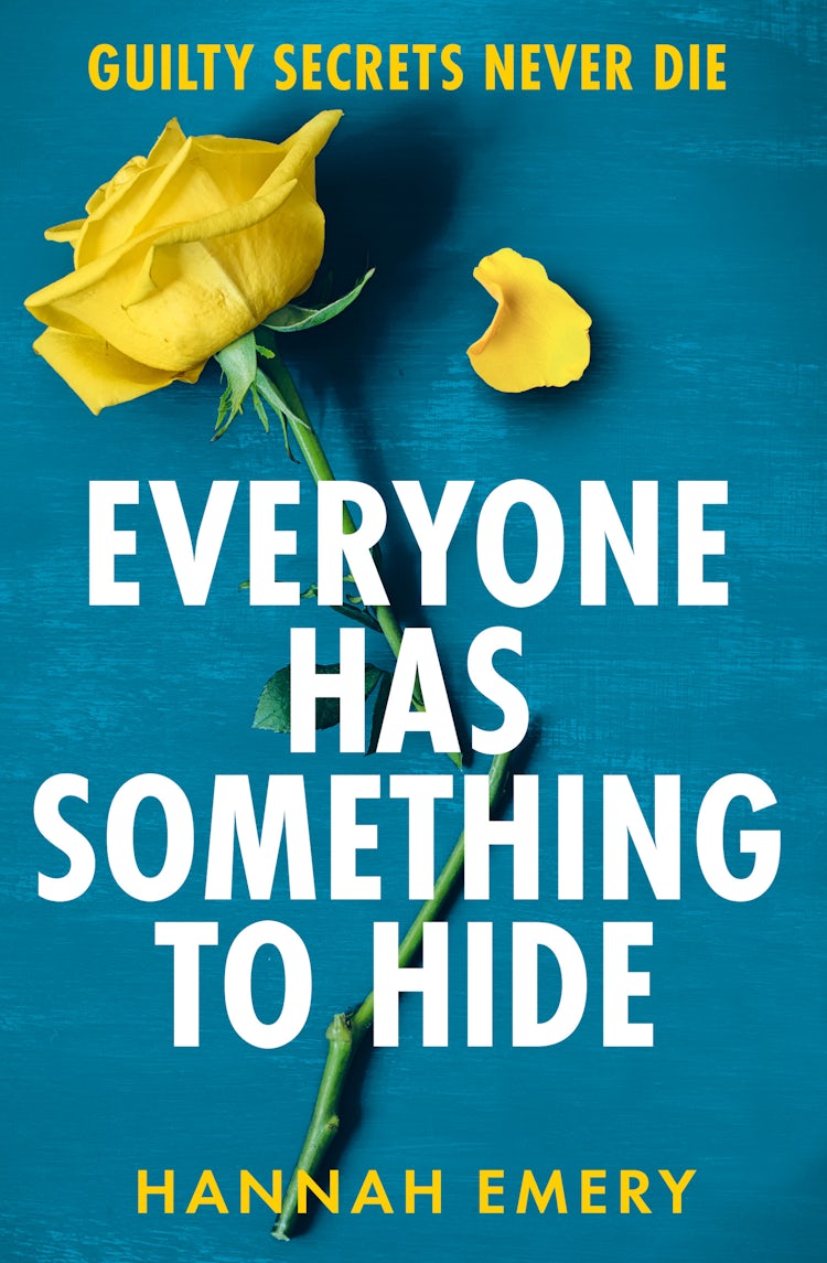 Cover image for Everyone Has Something to Hide, isbn: 9780008794927