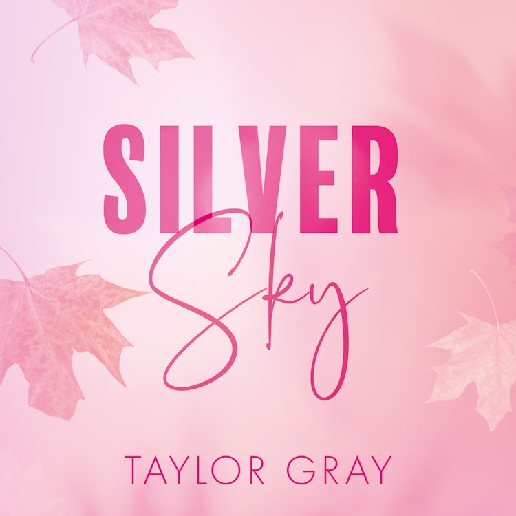 Cover image for Silver Sky (The Carter Brothers, Book 2), isbn: 9780008797584