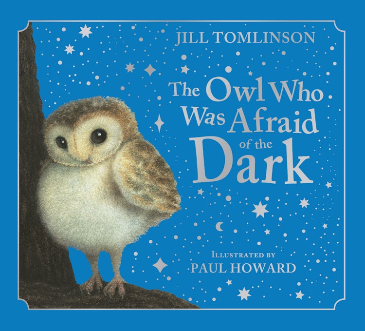 Cover image for The Owl Who Was Afraid of the Dark, isbn: 9780008799502
