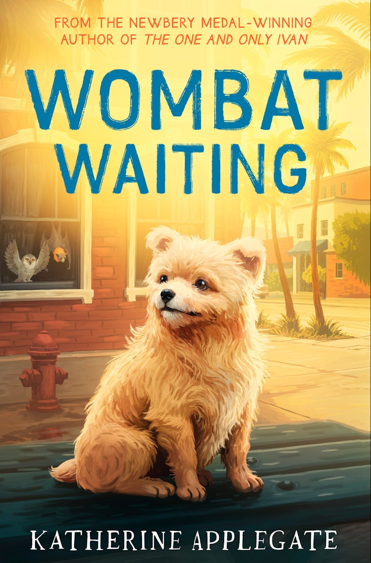 Cover image for Wombat Waiting, isbn: 9780008814144