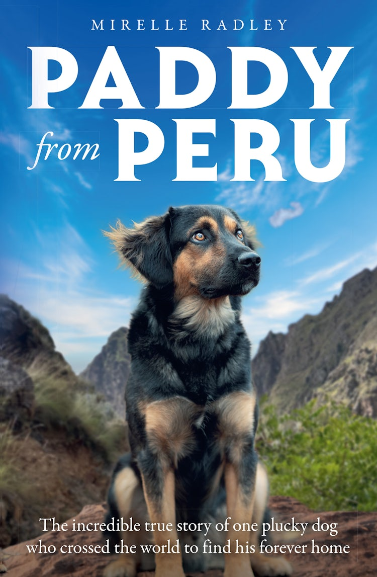 Cover image for Paddy from Peru: The incredible true story of one plucky dog who crossed the world to find his forever home, isbn: 9780008814793