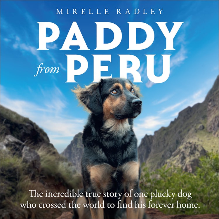 Cover image for Paddy from Peru: The incredible true story of one plucky dog who crossed the world to find his forever home, isbn: 9780008814809