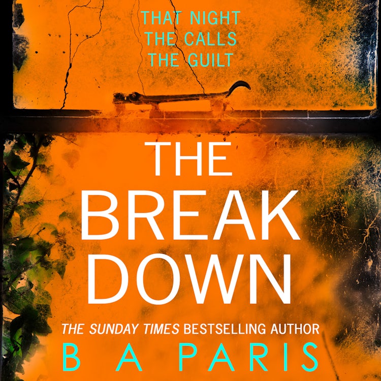 Cover image for The Breakdown, isbn: 9780008817640
