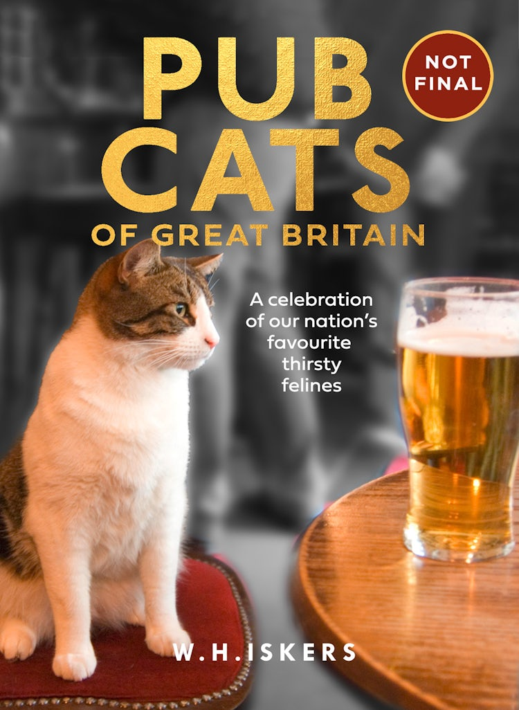Cover image for Pub Cats of Great Britain: A celebration of our nation’s favourite thirsty felines, isbn: 9780008822347