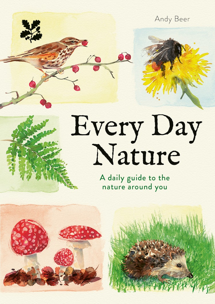 Cover image for National Trust - Every Day Nature, isbn: 9780008836221