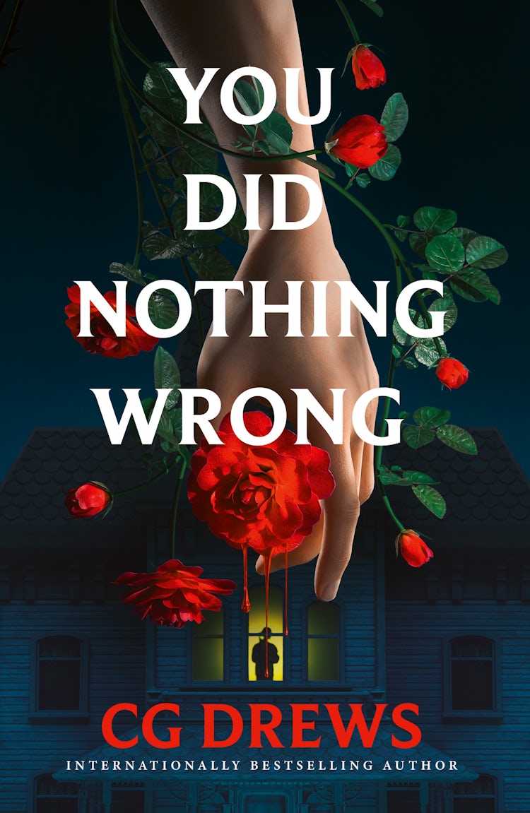 Cover image for You Did Nothing Wrong, isbn: 9780008842437