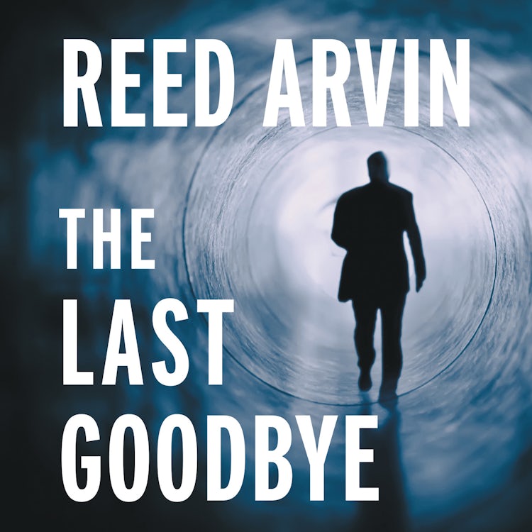 Cover image for The Last Goodbye, isbn: 9780060823917