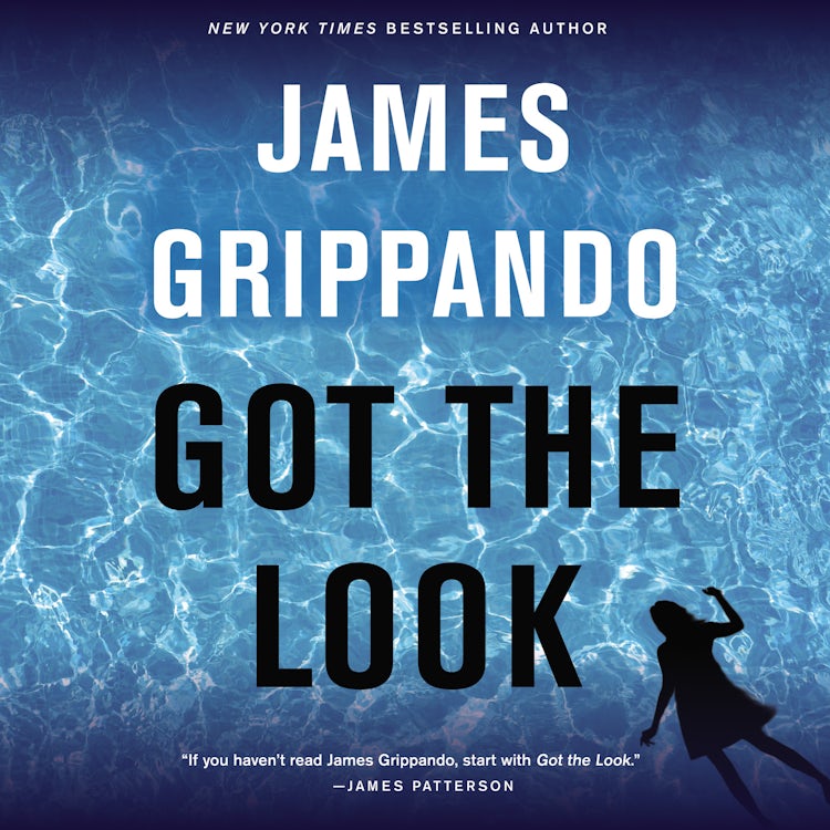 Cover image for Got the Look, isbn: 9780060878337