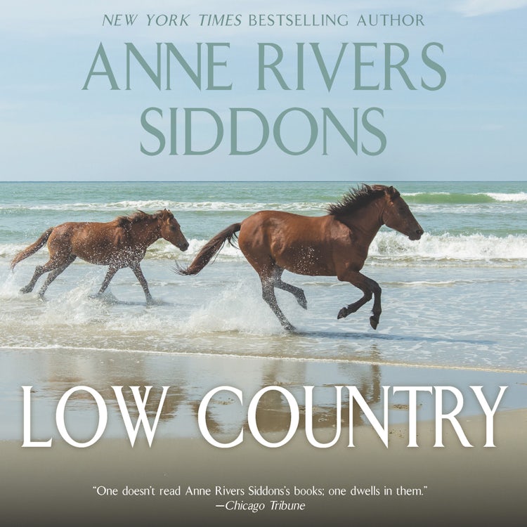 Cover image for Low Country, isbn: 9780060879037