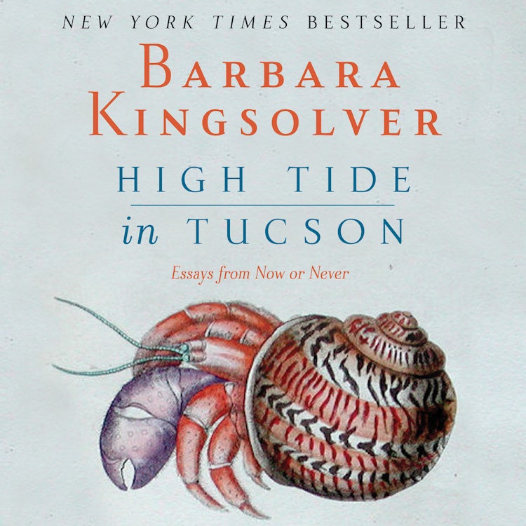 Cover image for High Tide in Tucson, isbn: 9780060894511