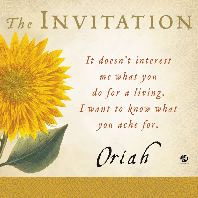 Cover image for The Invitation, isbn: 9780061130526