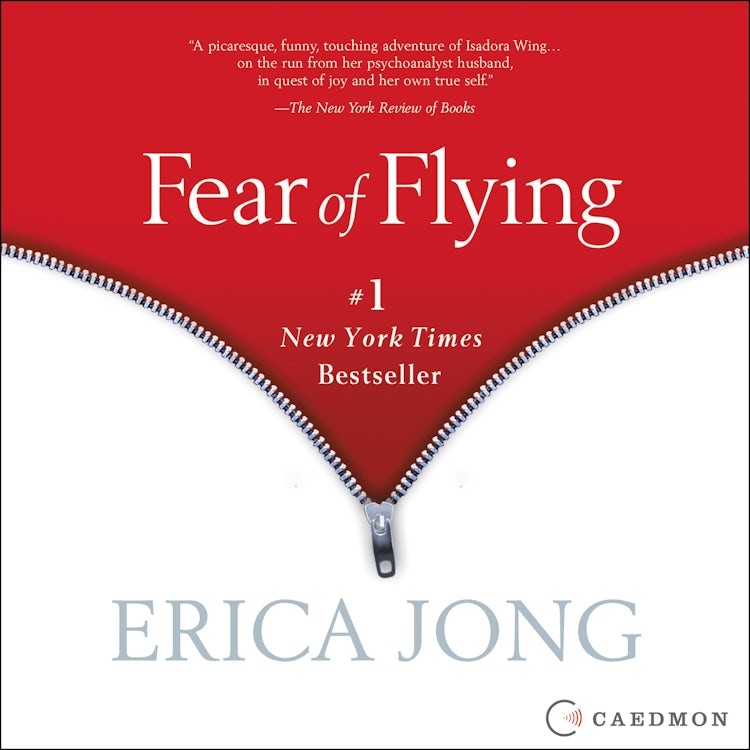 Cover image for Fear of Flying, isbn: 9780061190667