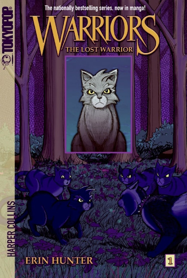 Cover image for Warriors Manga: Graystripe's Adventure #1: The Lost Warrior, isbn: 9780061240201