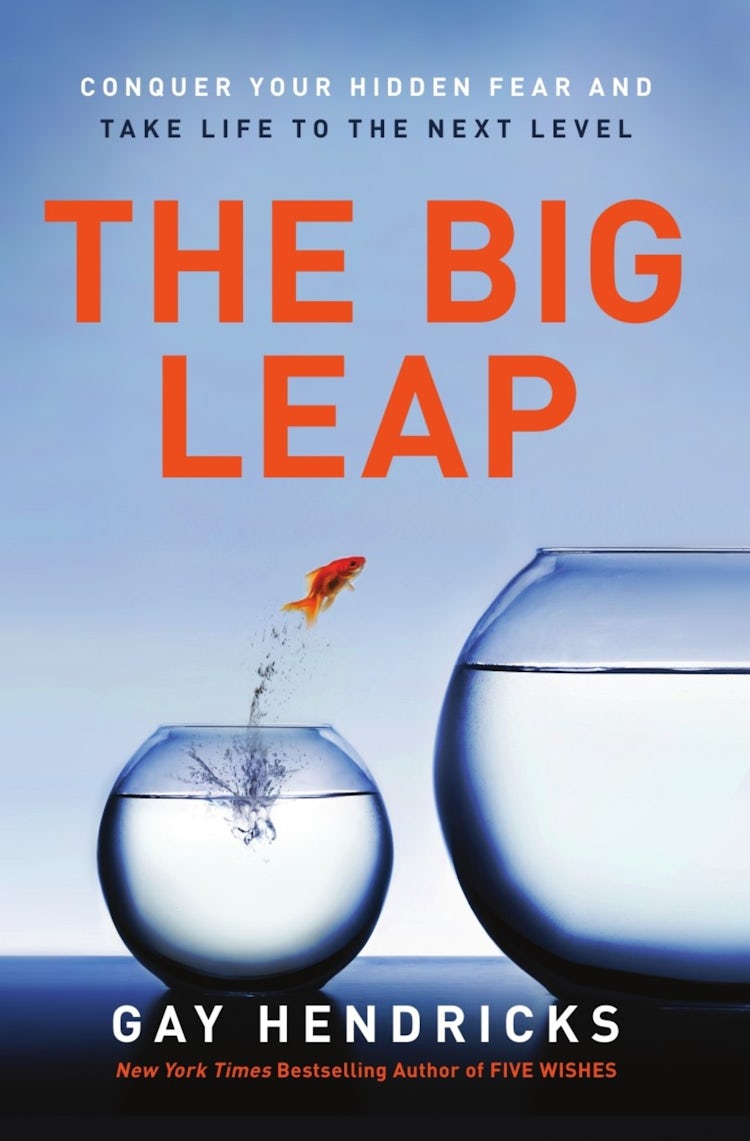 Cover image for The Big Leap: Conquer Your Hidden Fear and Take Life to the Next Level, isbn: 9780061735363