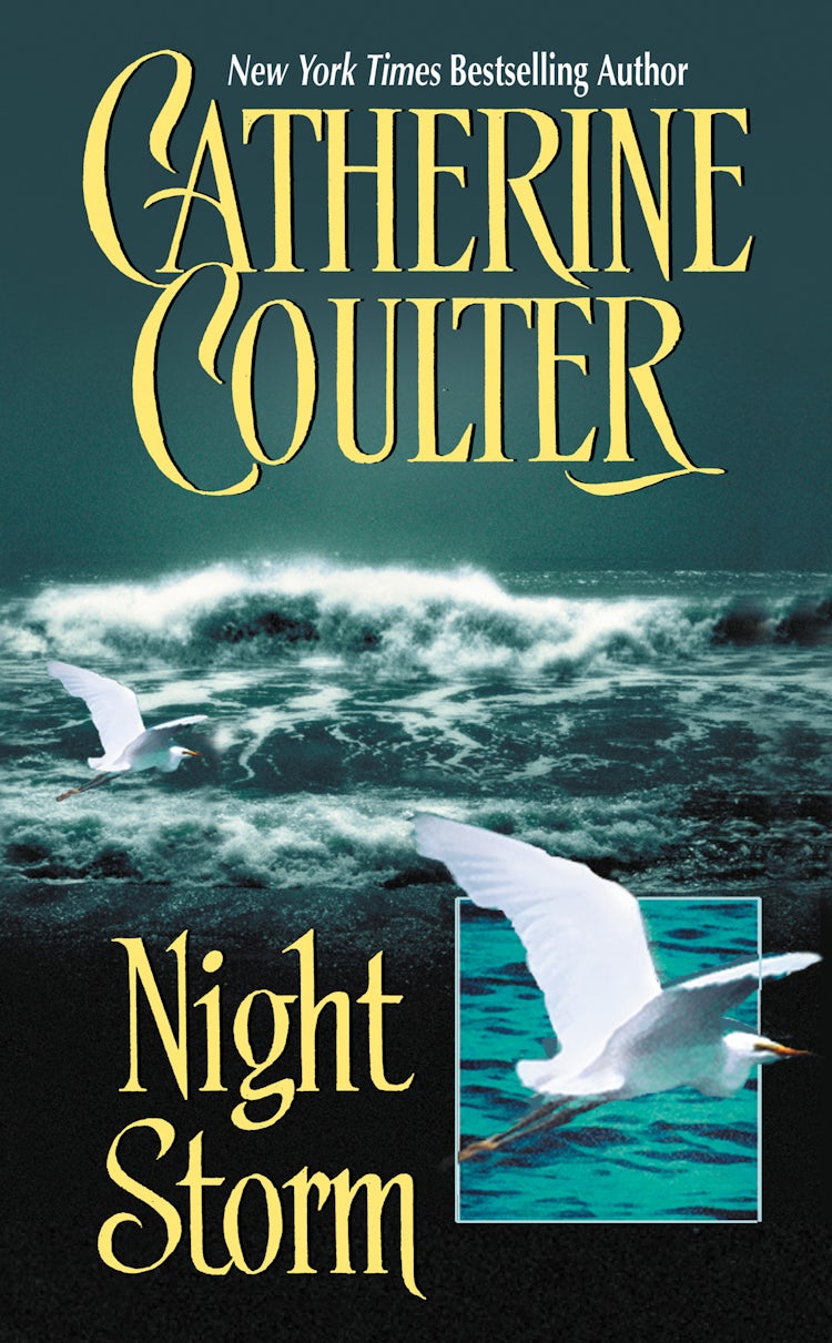 Cover image for Night Storm, isbn: 9780061750786