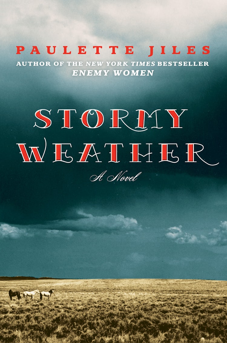 Cover image for Stormy Weather, isbn: 9780061752889