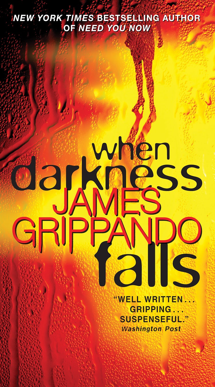 Cover image for When Darkness Falls, isbn: 9780061755866
