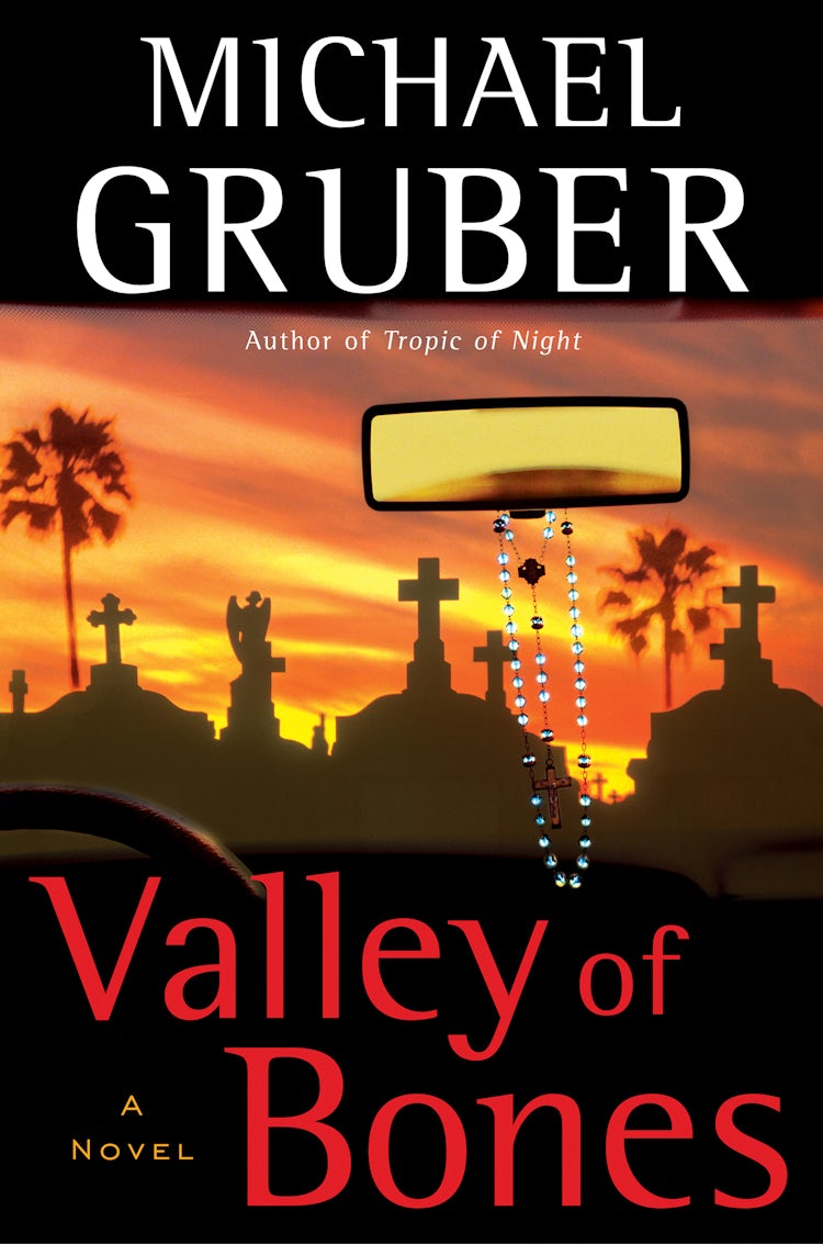 Cover image for Valley of Bones, isbn: 9780061807916