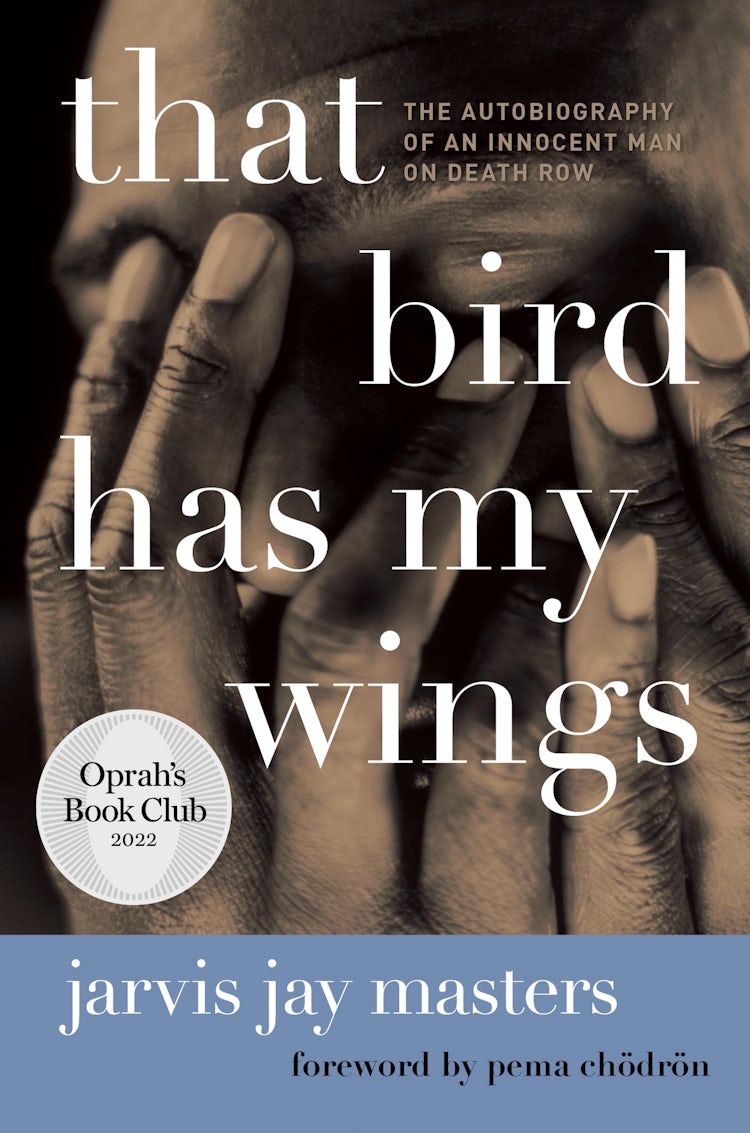 Cover image for That Bird Has My Wings, isbn: 9780061937378