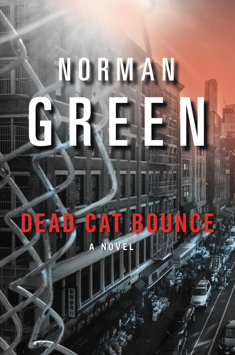 Cover image for Dead Cat Bounce, isbn: 9780062005267
