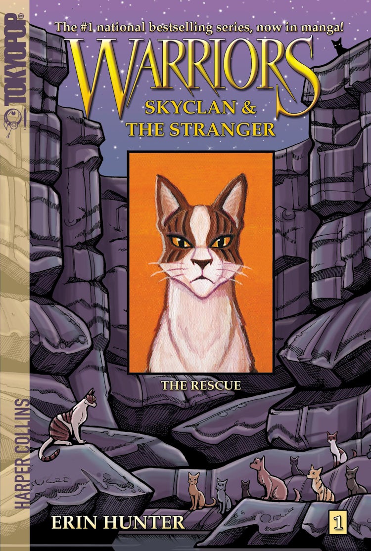 Cover image for Warriors Manga: SkyClan and the Stranger #1: The Rescue, isbn: 9780062008367