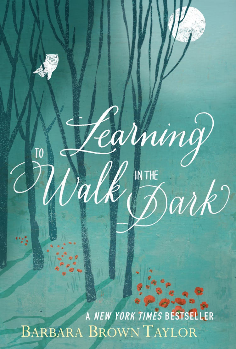 Cover image for Learning to Walk in the Dark, isbn: 9780062024343