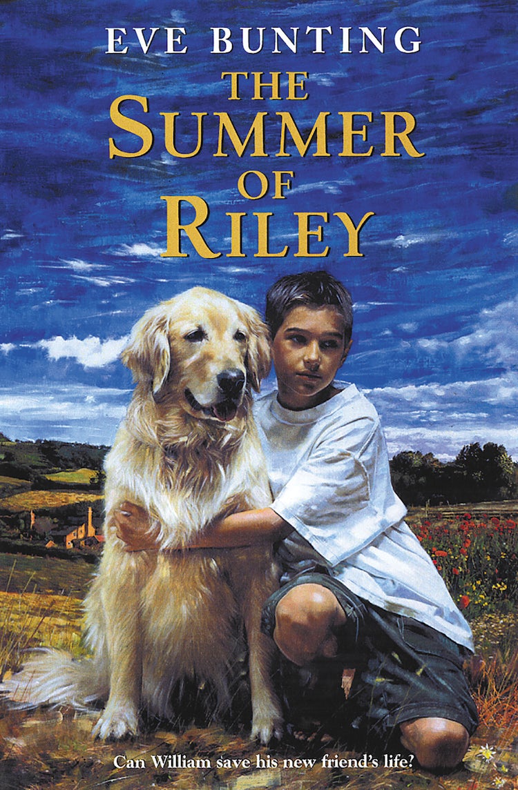 Cover image for The Summer of Riley, isbn: 9780062044747