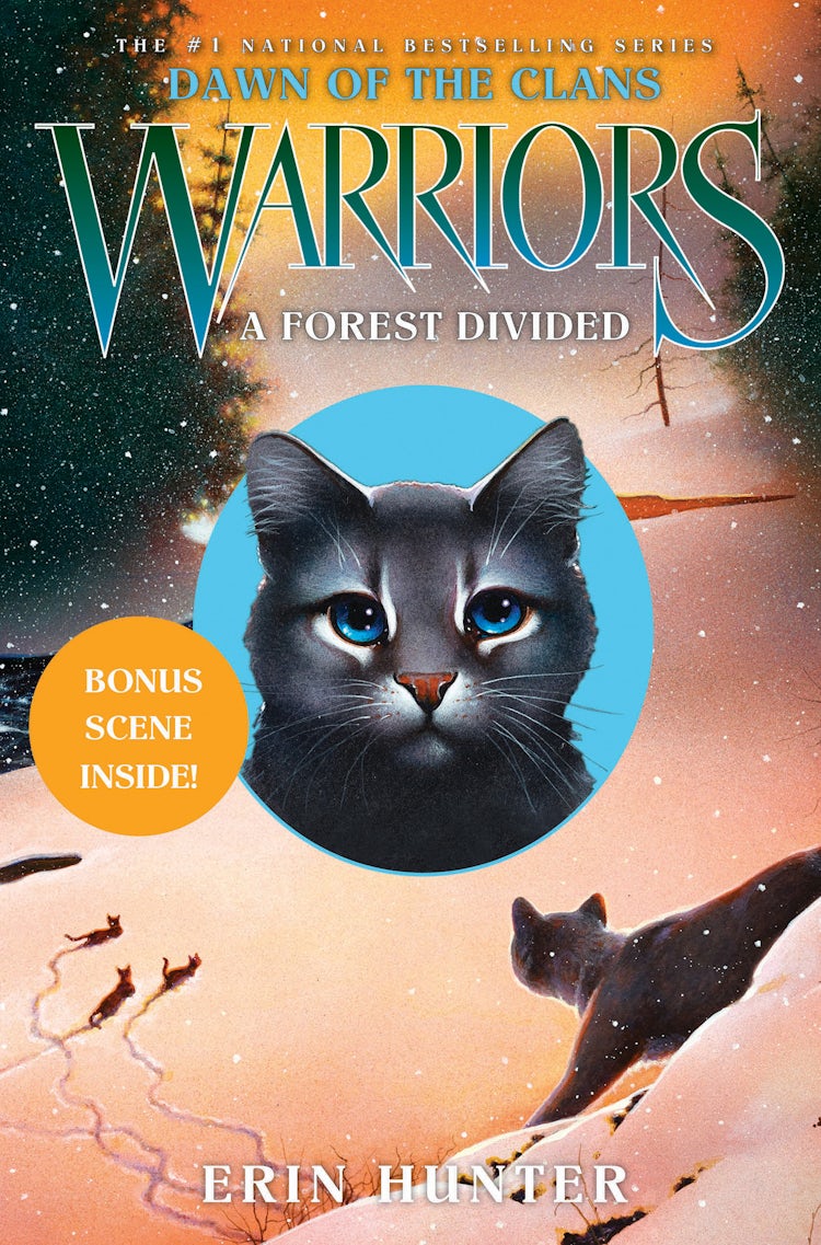 Cover image for Warriors: Dawn of the Clans #5: A Forest Divided, isbn: 9780062063656