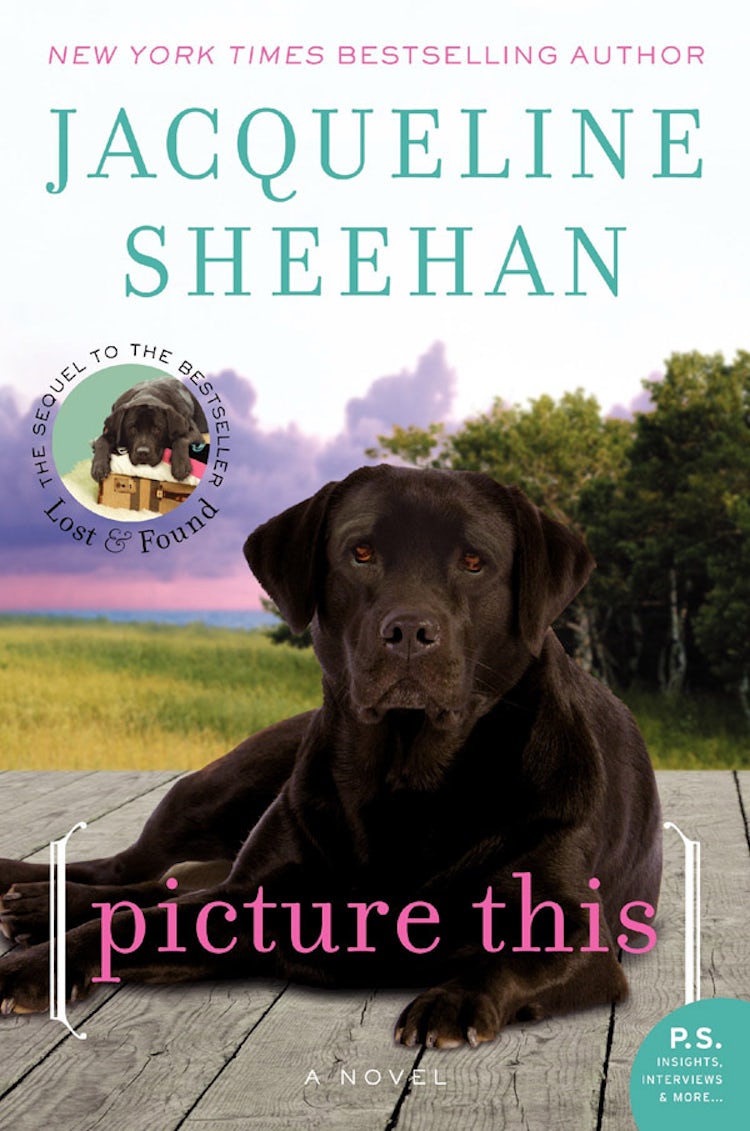Cover image for Picture This, isbn: 9780062101532