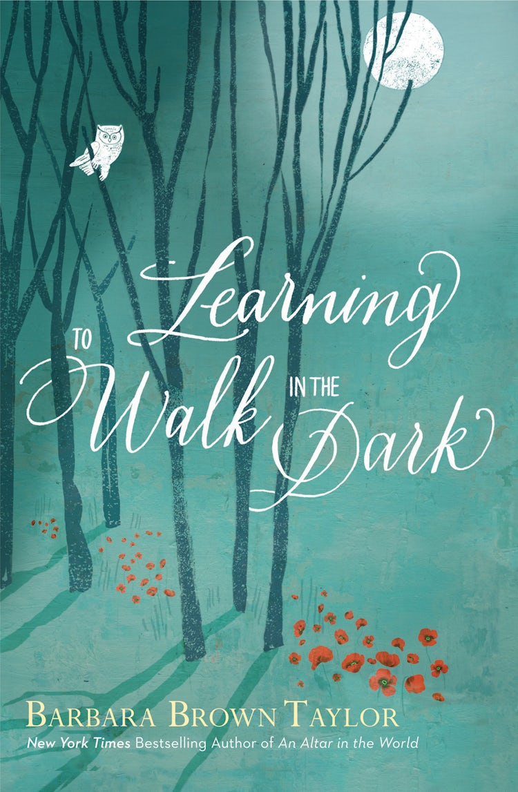 Cover image for Learning to Walk in the Dark, isbn: 9780062102867
