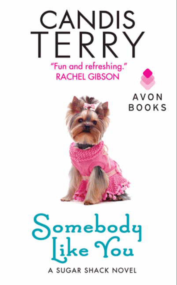 Cover image for Somebody Like You, isbn: 9780062105257