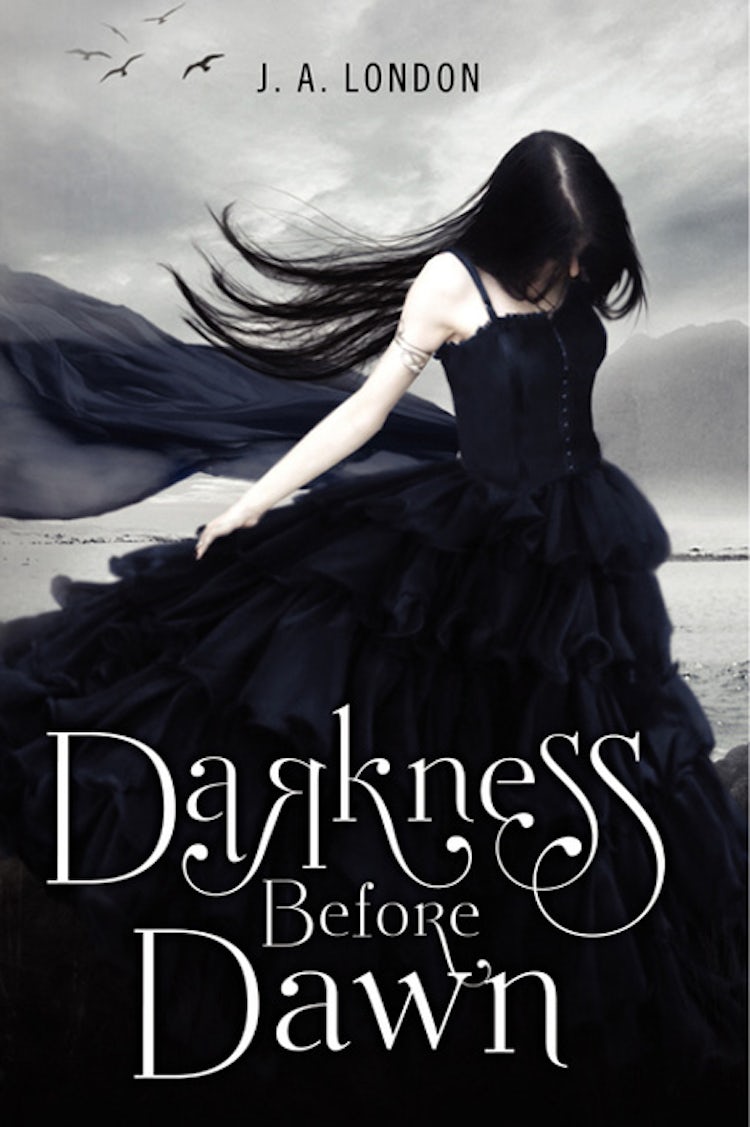 Cover image for Darkness Before Dawn, isbn: 9780062114327