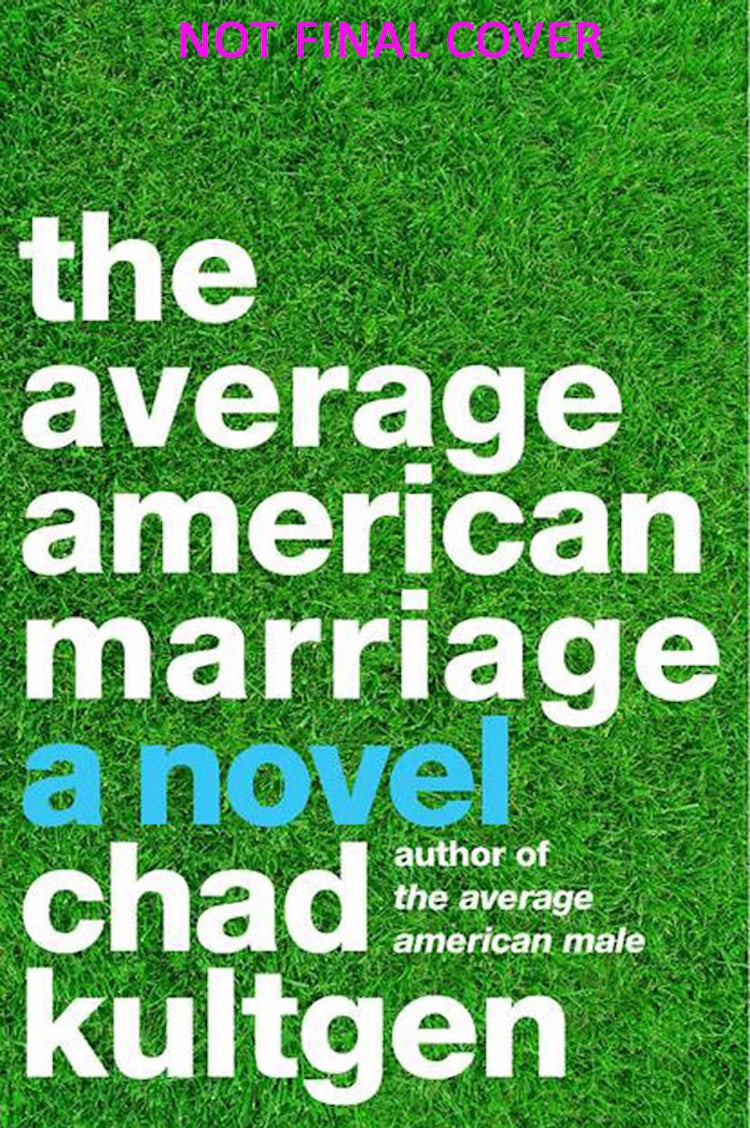 Cover image for The Average American Marriage, isbn: 9780062119568
