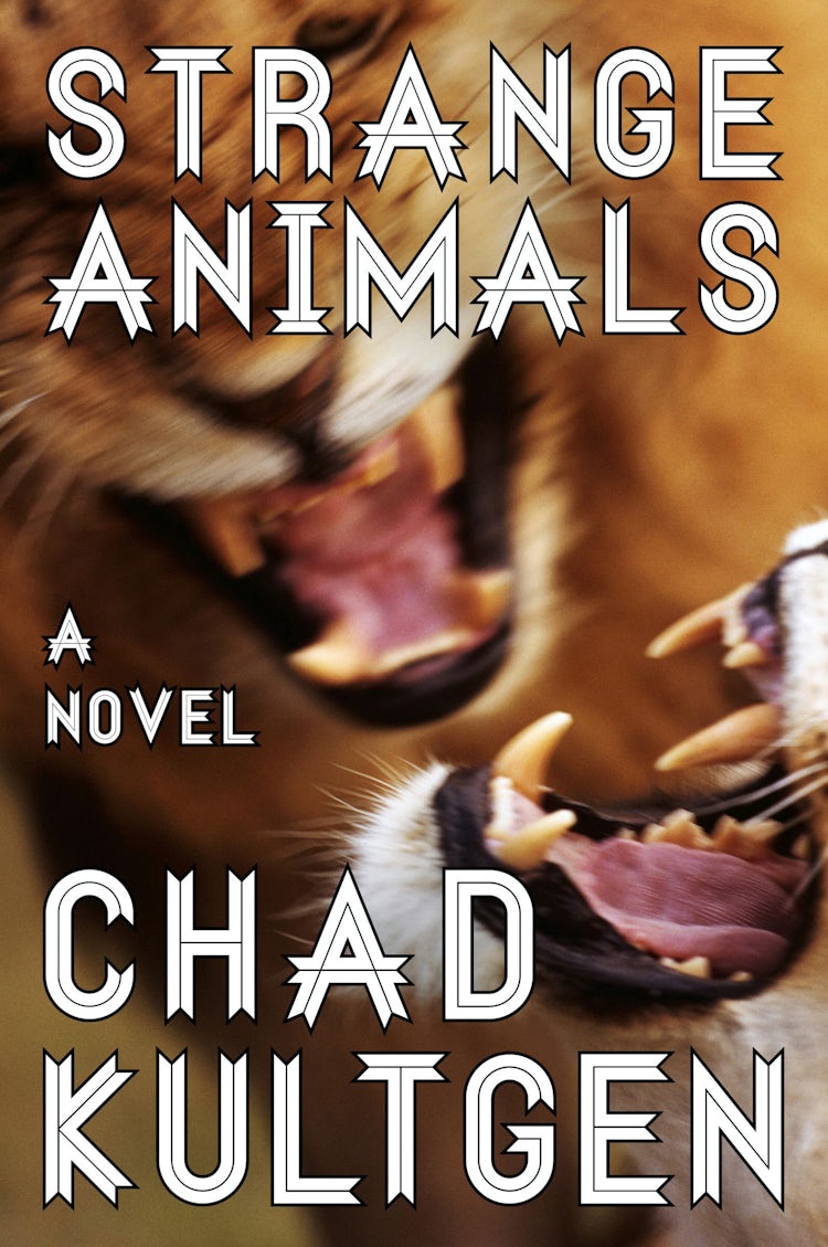 Cover image for Strange Animals, isbn: 9780062119841
