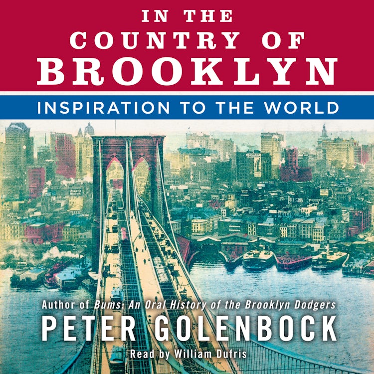 Cover image for In the Country of Brooklyn, isbn: 9780062190697