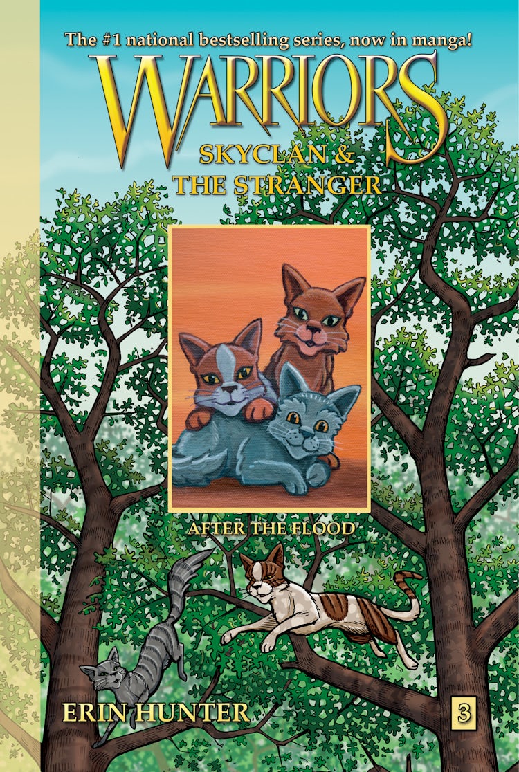 Cover image for Warriors: SkyClan and the Stranger #3: After the Flood, isbn: 9780062193025