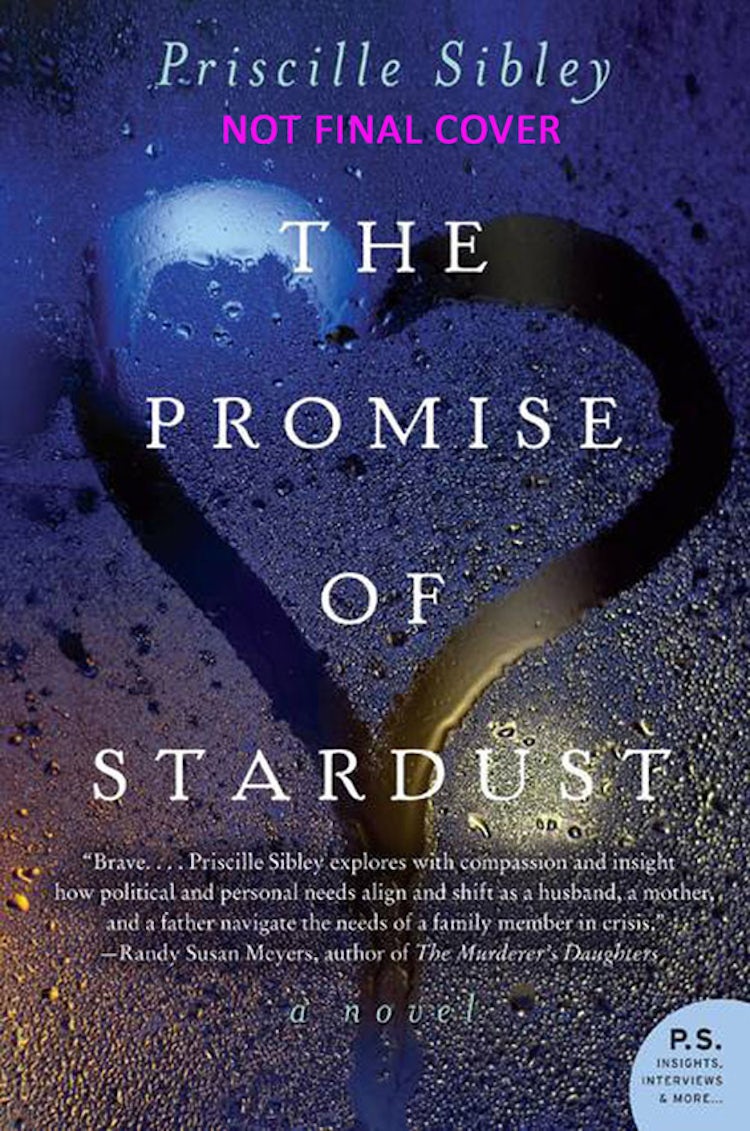 Cover image for The Promise of Stardust, isbn: 9780062194183