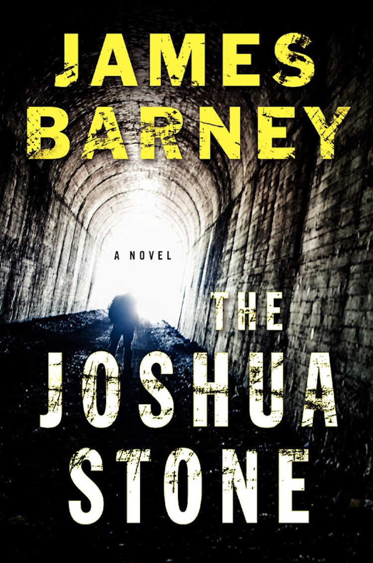 Cover image for The Joshua Stone, isbn: 9780062198044
