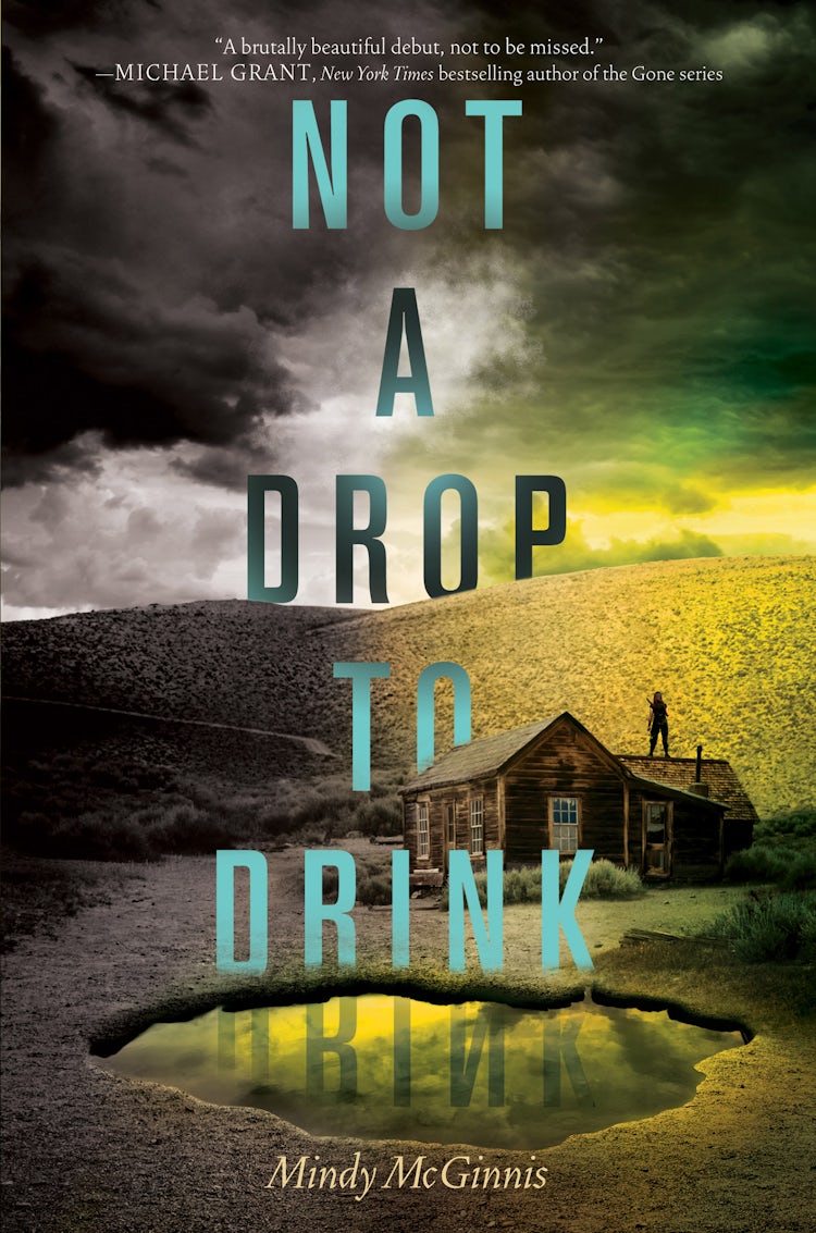Cover image for Not a Drop to Drink, isbn: 9780062198525